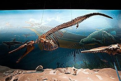 PS5“Slim”视频泄露 但实际上PS5 Slim可能根本不会有