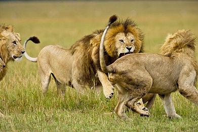 《In Style》Steam页面上线 赛博朋克TPS新游